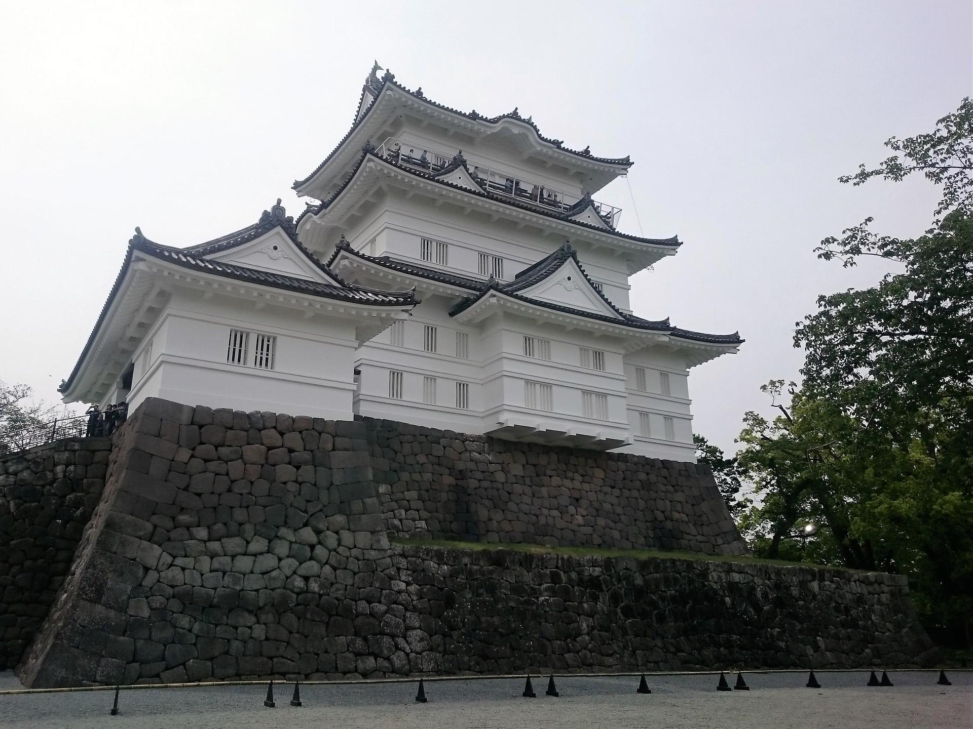 小田原 日々のできごと・思うこと